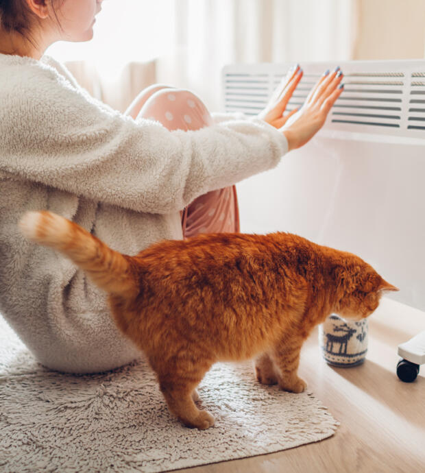 Un chauffage écologique… Rêve ou réalité ?